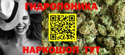 хмурый Абакан
