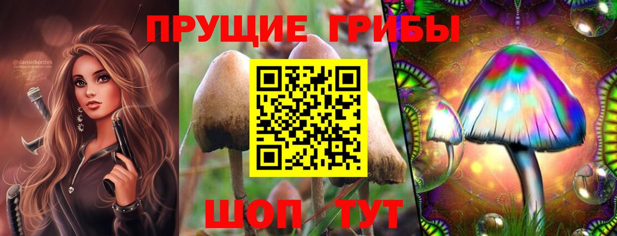 Азнакаево  Псилоцибиновые грибы MAGIC MUSHROOMS  Вход с VPN 